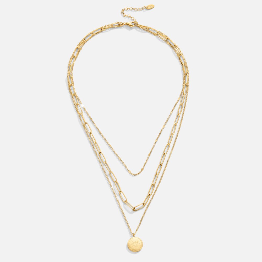 Janie Coin Long Necklace